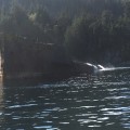 Diving