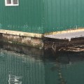 feed barge needing floatation after