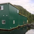 feed shed needing floatation before