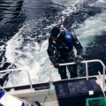 Diving